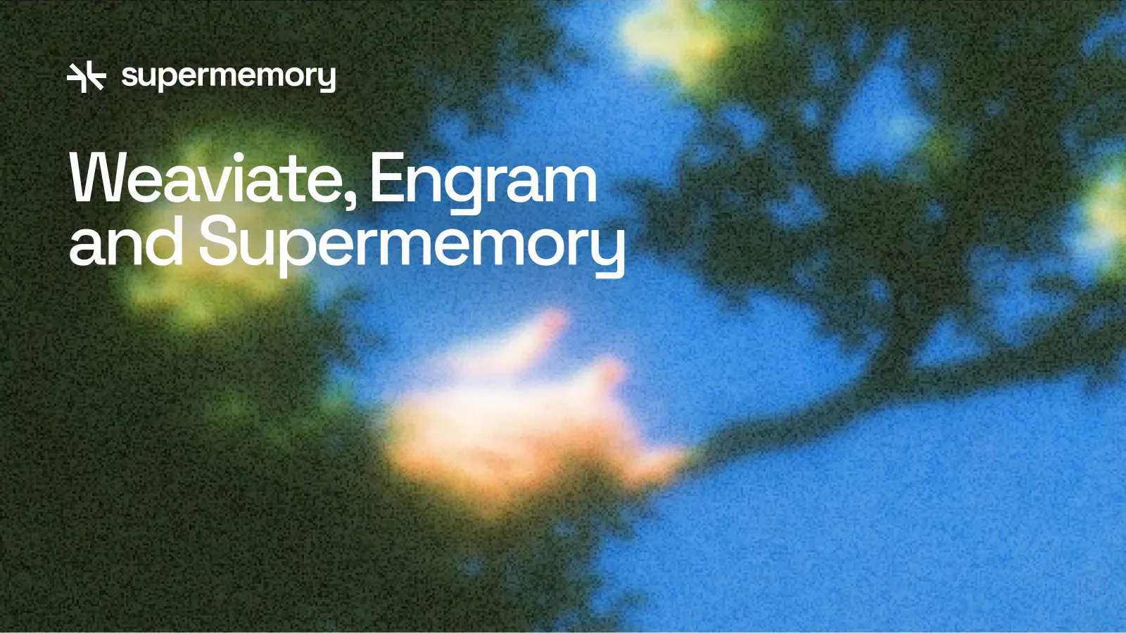 Weaviate vs Supermemory: Database, Engram, and Agent Memory
