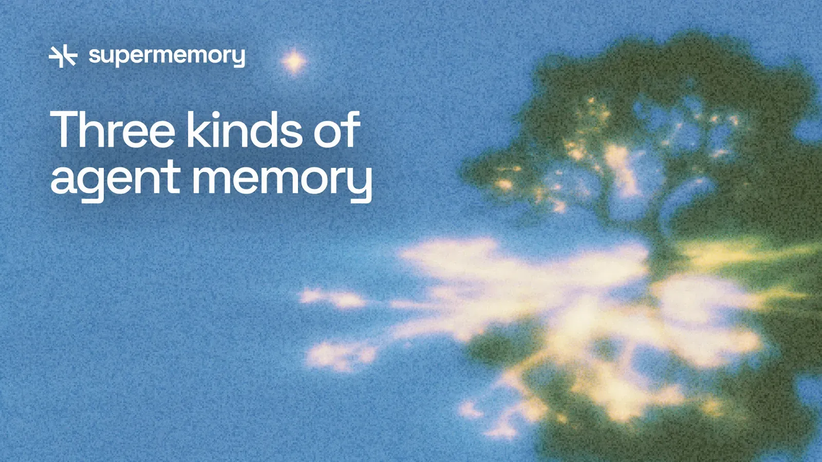 Episodic, Semantic, and Procedural Memory: What Should an Agent Store?