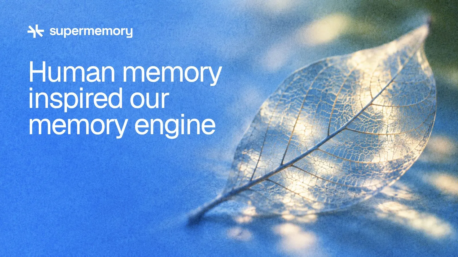 Supermemory header reading "Human memory inspired our memory engine" — A translucent leaf reveals the connected branches of its vein network