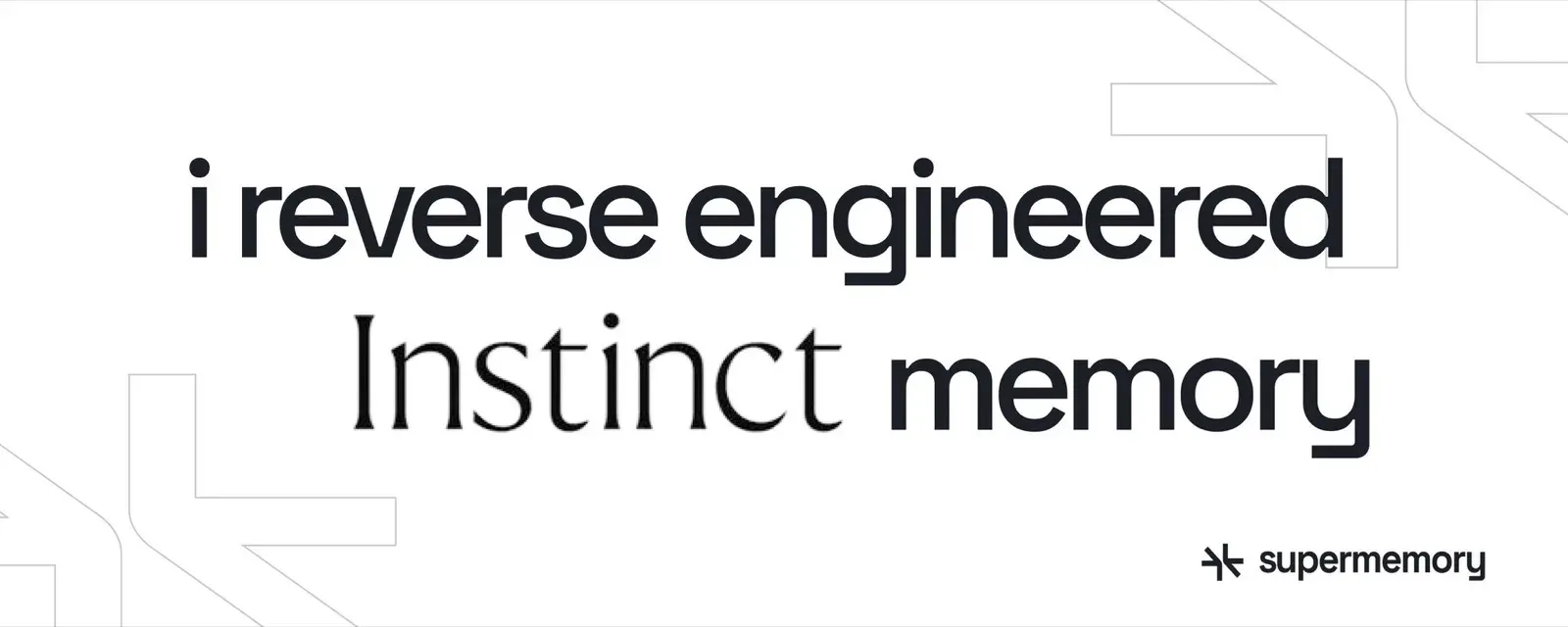 Reverse-engineering Instinct's memory